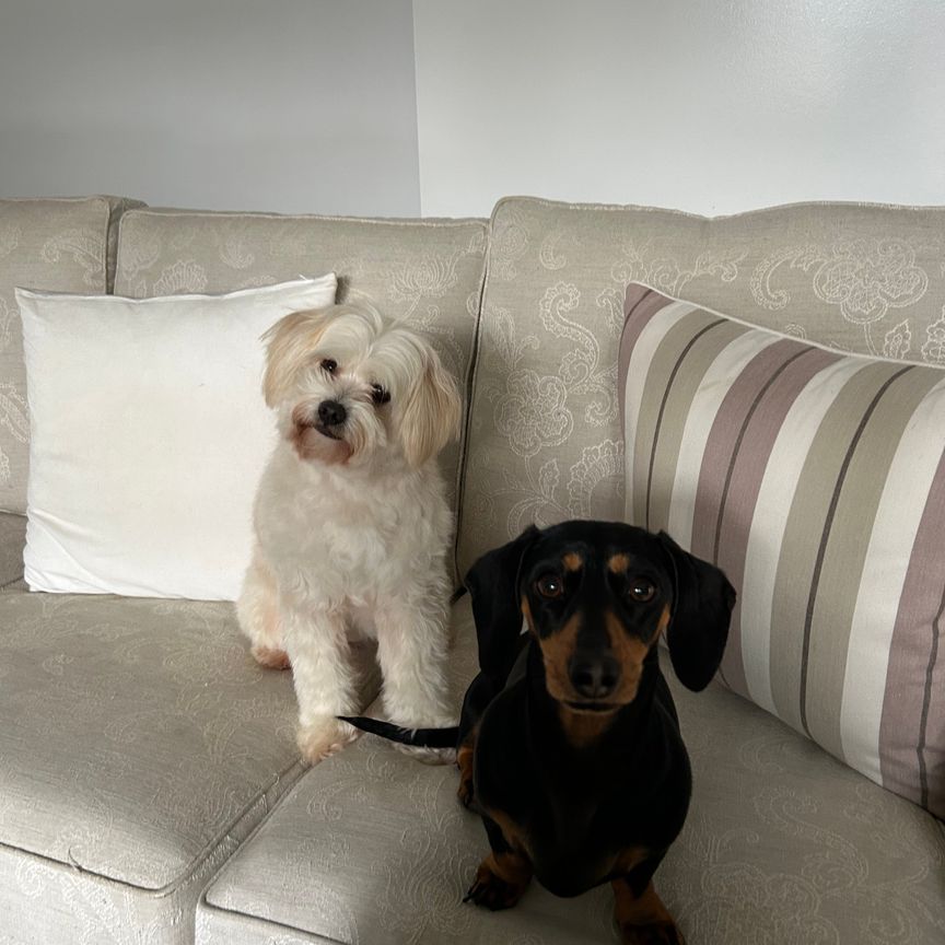 Narre Warren - Photo 1