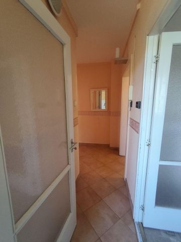 Csongrád megye, Csongrád - Fotó 5