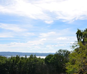 Ceciliagatan 10 - Foto 4