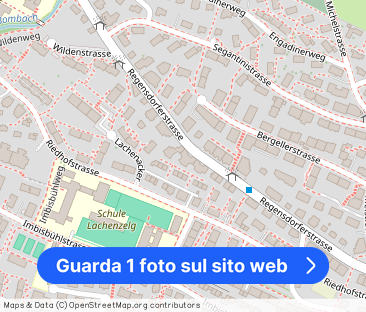 Life at the vineyard - Foto 1