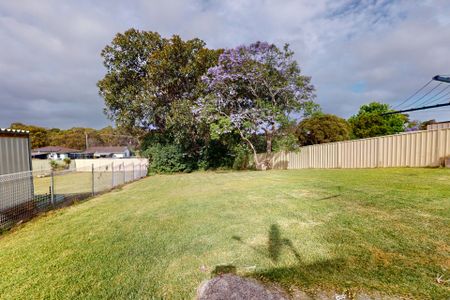 15 Lachlan Street, Windale NSW 2306 - Photo 4