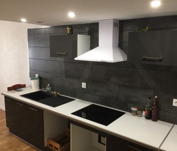 Location Appartement 1 pièce 45m² ST DONAT SUR L HERBASSE 26260 - Photo 4