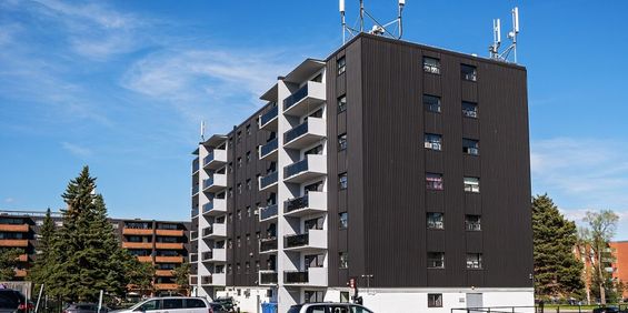 Bloor Street Apartments - Photo 3