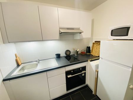 BORDEAUX - QUAI DES SALINIÈRES - APPARTEMENT MEUBLÉ - Photo 5