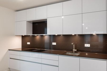 Erstbezug: 2-Zi-Gartenwohnung mit Einbauküche, 2 Terrassen und TG-Einzelstellplatz - Photo 3