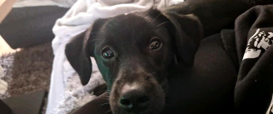 suchen 2 Zimmerwohnung Empelde ronnenberg - Foto 1