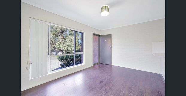 Low Maintenance Lifestyle! - Photo 1