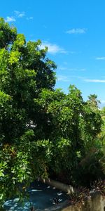 Location Appartement 1 pièce 20m² ST DENIS 97400 - Photo 4