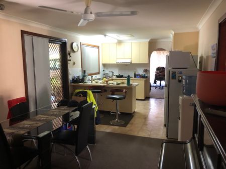 Australind - Photo 4