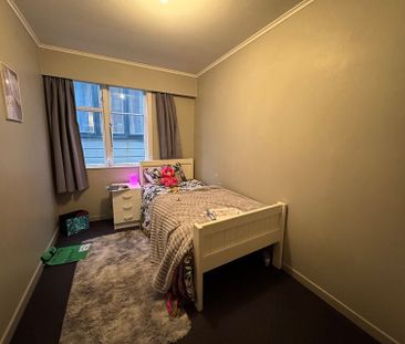 Large 3 bedroom apartment in Mt Vic - Photo 5