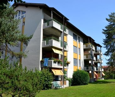 Familienwohnung in Aarberg - Foto 6