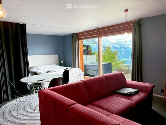 Joli Studio au bord des pistes à Veysonaz - Photo 1