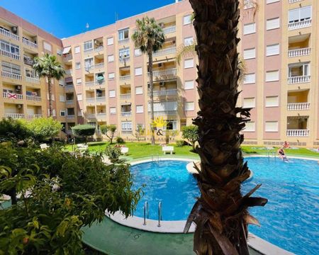 1 BEDROOM GROUND FLOOR APARTMENT - TORREVIEJA - Photo 5