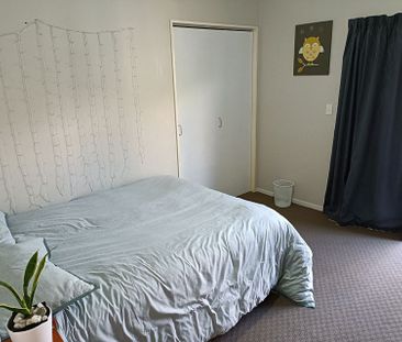 Spacious 4-Bedroom Omanu Family Home - Photo 2