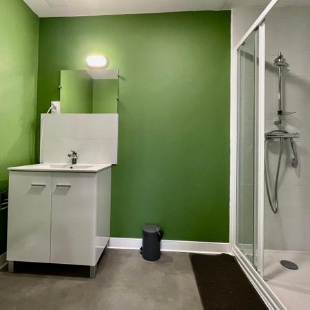 Location Appartement 1 pièce 28m² ALBI 81000 - Photo 3