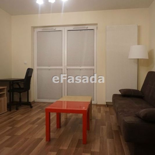 EFS-MW-213 Mieszkanie na wynajem - Photo 1