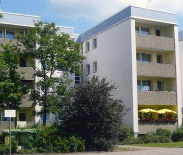 Gut geschnittene 3-Zimmer Wohnung in Lampertheim - Foto 4