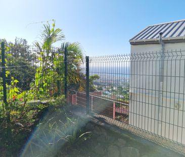 Location Appartement 2 pièces 42m² STE CLOTILDE 97490 - Photo 1