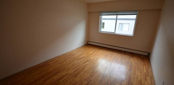 Charming 1 Bedroom Apartment - Photo 2