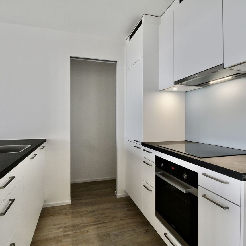 Appartement récent et lumineux de 2 pièces, avec vue et grande terrasse - Photo 1