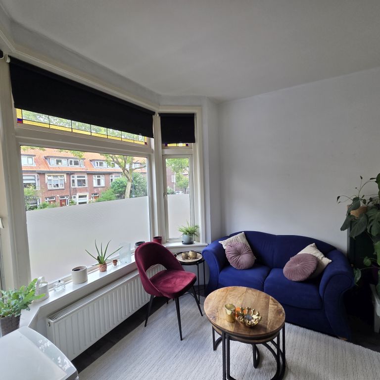 Appartement De Sitterlaan ( tijdelijk huurcontract studenten ) - Foto 1