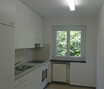 3 Zimmer, 71 m², 1. Stock - Foto 1