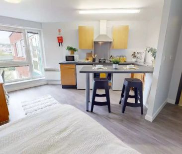 Silver Studio Plus - Photo 6