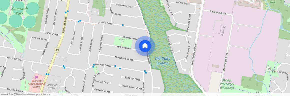 40 Athlone Street, Qld 4173, Tingalpa