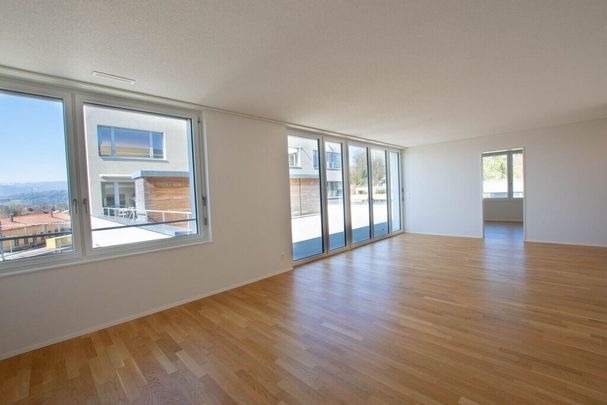 Modern 3.5-room apartment with large terrace (54 m2) - Foto 1