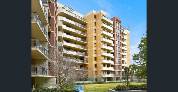 Comfort Family Home in the heart of Strathfield - Photo 1