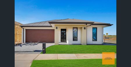 Beautiful Family Home in the Heart of Strathtulloh - Photo 4