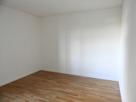 Affittasi grazioso e rinnovato appartamento a Morbio - Photo 2