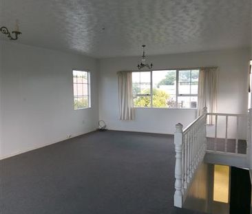 Morse Street, Marewa - Photo 3