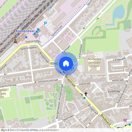 Lyceumlaan, 4702XG Roosendaal