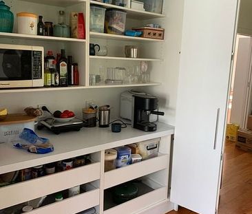 Alfie - Furnished house rental Nelson South - Photo 6
