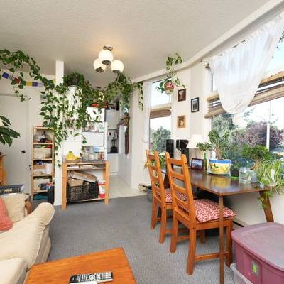 1 Bedroom Apartment on Ontario Street - Photo 1