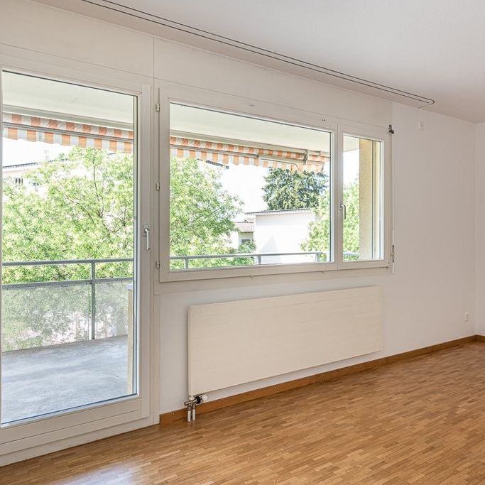 4 ½ Zimmer-Wohnung in Pfäffikon ZH mieten - Foto 1