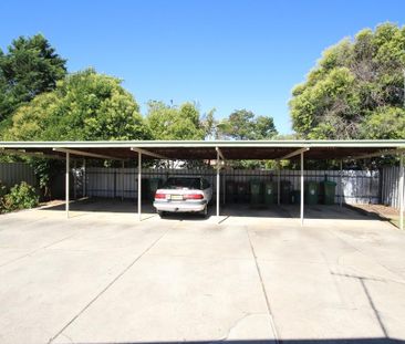 Fly Solo in this Fantastic Flat - Photo 1