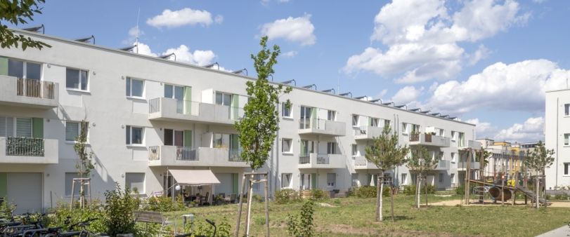 Wilhelm-Hoff-Straße 21, 12489 Berlin - Foto 1
