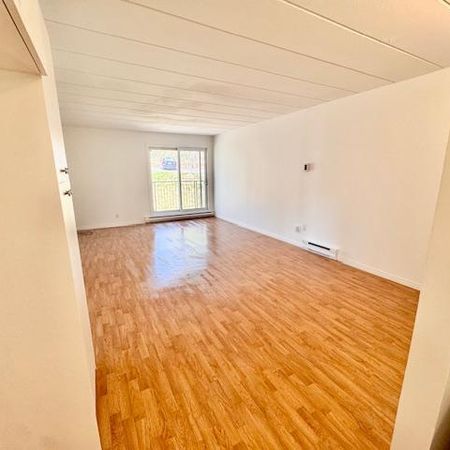 SUPERBE 4 1/2 en coin rénové avec goût! Piscines, gym, internet compris! - Photo 4