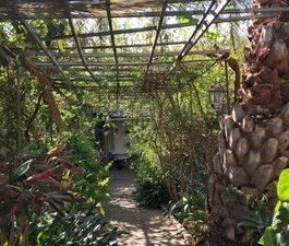 Gran Parada, Canary Islands 35308 - Photo 5