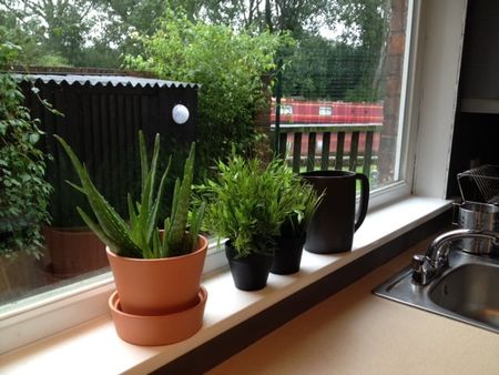 Room in a Shared House, Edwins Mead, E9 - Photo 4