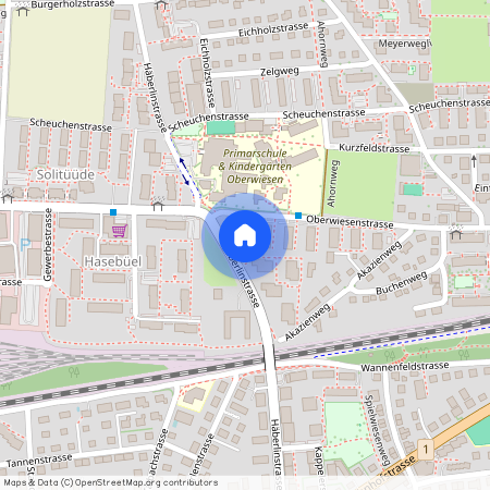 Oberwiesenstr. A 45a, 8500, Frauenfeld