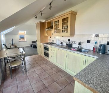 Lower Canal Walk - Photo 4