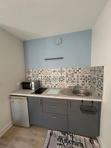 Location Appartement 1 pièce 24m² MACON 71000 - Photo 4