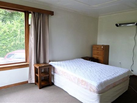 Charming Home in North Dunedin! - Photo 5