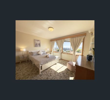 41 Parramore St, Rosetta, Tas 7010 - Photo 5