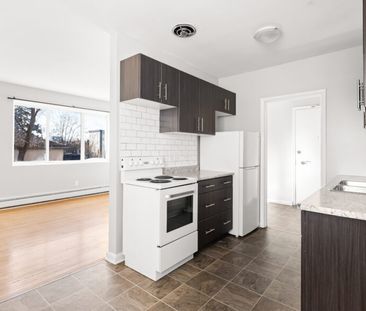 192 Anderson – 1 Bedroom, Winnipeg, MB - Photo 5