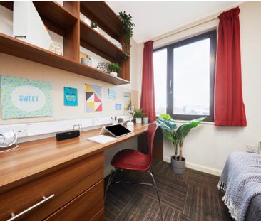 Room in a Shared House, Bagot St, B4 - Photo 3