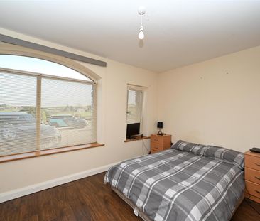 44a Braniel Road, Lisburn, BT27 5JJ - Photo 4